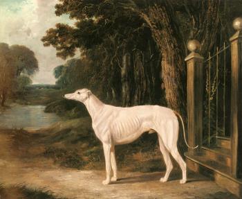 約翰 弗雷德裡尅 赫爾林 Vandeau, A White Greyhound